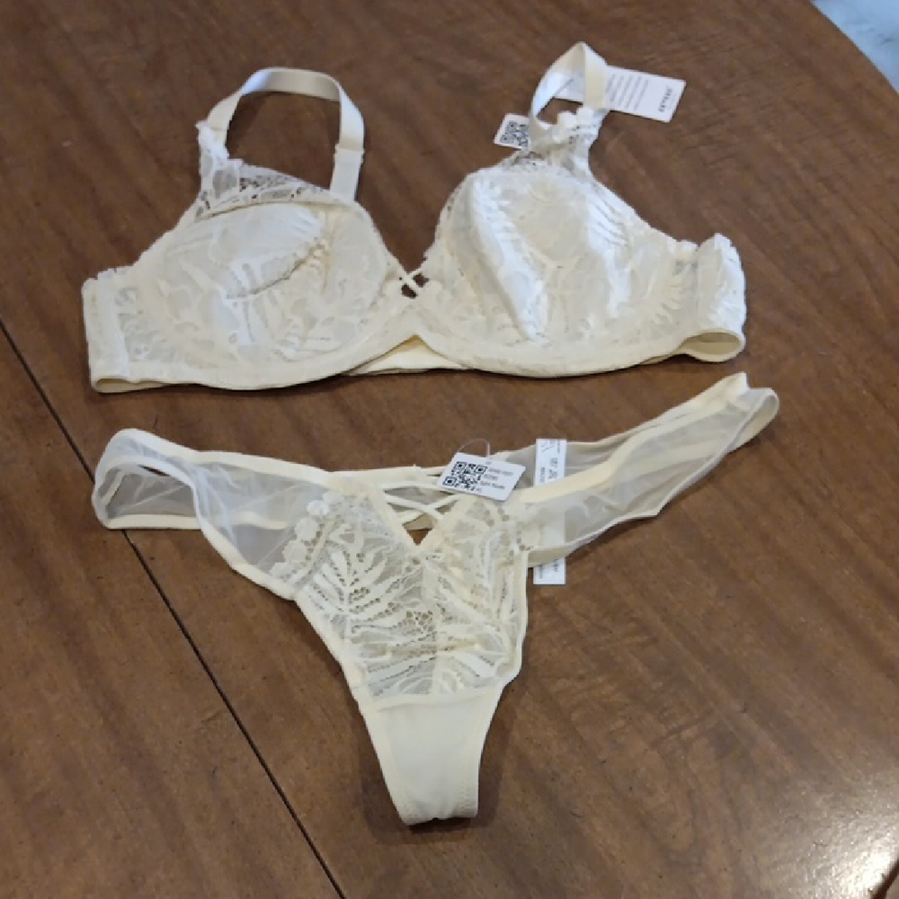Chic Cream Lace Bra and Panty Set
